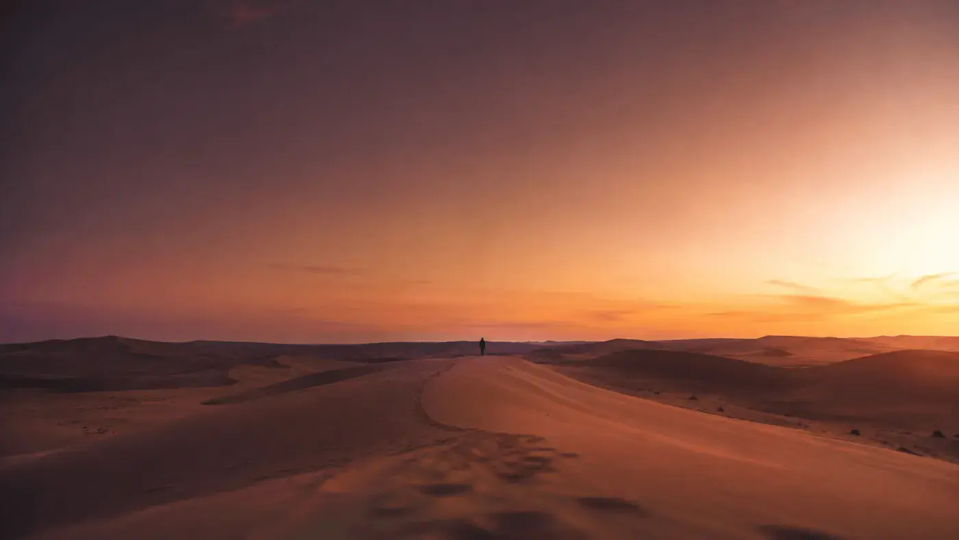 A vast desert at sunset